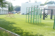 茨城大学附属小学校・幼稚園のグラウンドを全面ロングパイル人工芝へ改修