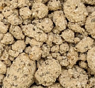 従来の透水前の土壌の状態を示す写真