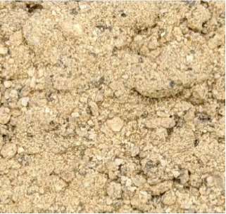 従来の透水後の土壌の状態を示す写真